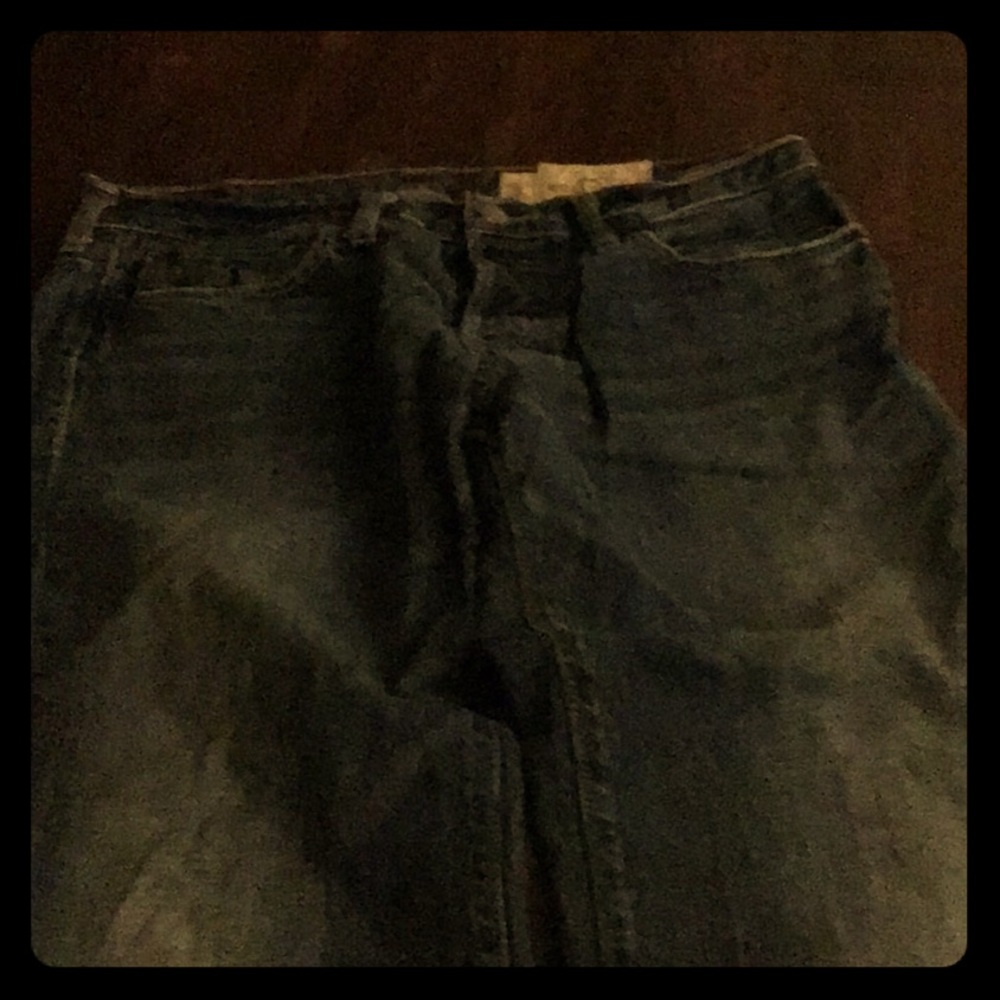 Blue hollister pants